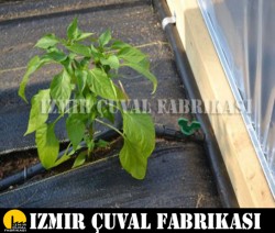 İZMİR ÇUVAL FABRİKASI - 2,10 mt x 100 mt Taban Örtüsü