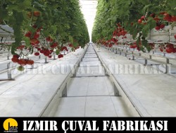 5.20 x 100 mt Beyaz Taban Örtüsü - 2