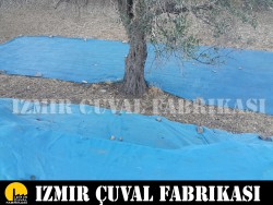 ZEYTİN TOPLAMA FİLESİ 6 X 12 MT - 4