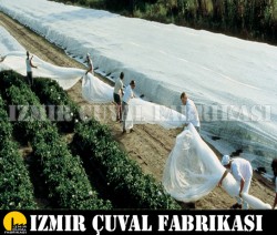Don Kırağı Örtüsü -Agril 1,60 x 300 mt  30 gr/m2 - 6