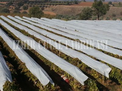 Don Kırağı Örtüsü -Agril -6.40 x 200 mt -30 gr/m2 