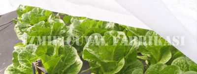 Don Kırağı Örtüsü - Agril - 3.20 M x 350 mt -30 gr/m2 