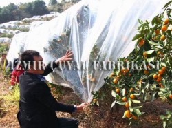 Don Kırağı Örtüsü - Agril - 3.20 M x 300 mt -30 gr/m2 - 21