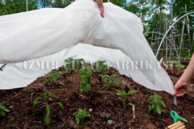 Don Kırağı Örtüsü - Agril - 3.20 M x 350 mt -30 gr/m2 