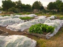 Don Kırağı Örtüsü -AGRIL - 9.60 x 150 mt - 19 gr/m2 - 13