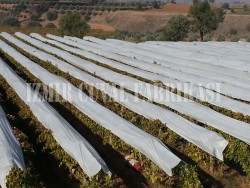 Don Kırağı Örtüsü -AGRIL - 9.60 x 150 mt - 19 gr/m2 - 21