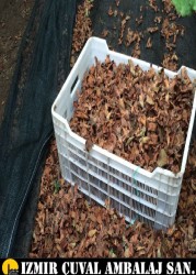 FINDIK TOPLAMA FİLESİ - 2