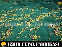 ZEYTİN TOPLAMA FİLESİ 1 TOP 6 X 100 MT  - 11