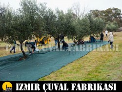 İZMİR ÇUVAL FABRİKASI - ZEYTİN TOPLAMA FİLESİ 1 TOP 6 X 100 MT 