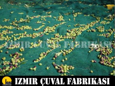ZEYTİN TOPLAMA FİLESİ 6x200 seyrek tip